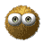 75