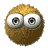 80